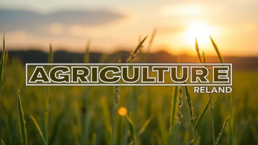 The image shows a person looking at a computer screen detailing Agriculture Federal Credit Union Benefits Explained.